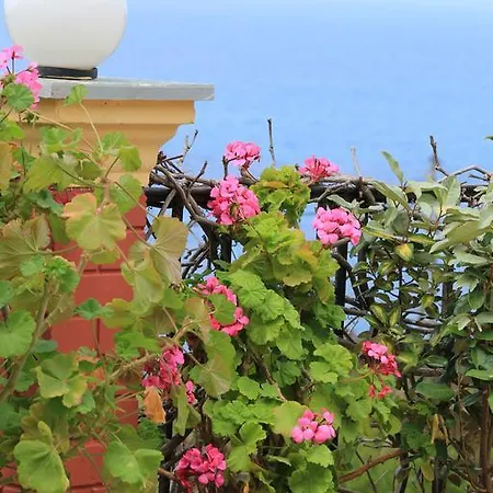 Aris Paramonas (Corfu)